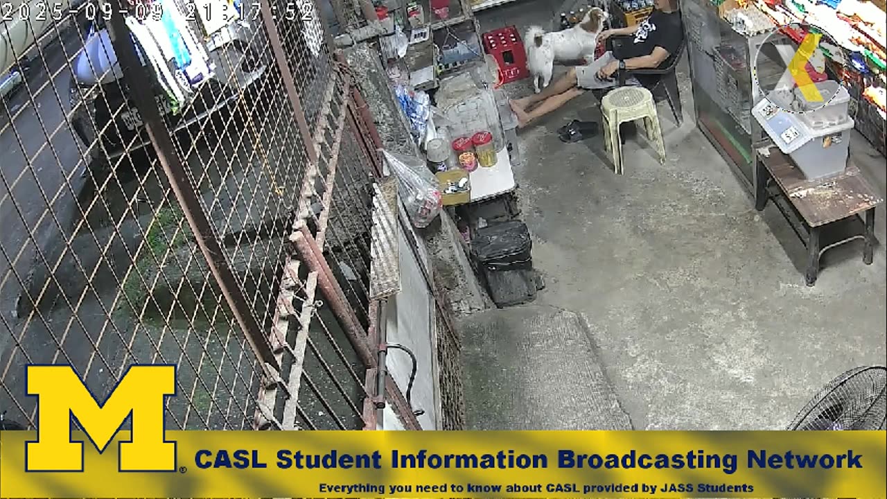 Mitsubishi Xpander 2019 Live