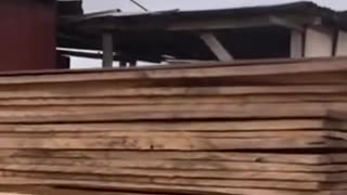 'Profeta' ghanés construye arcas ante temor a diluvio navideño