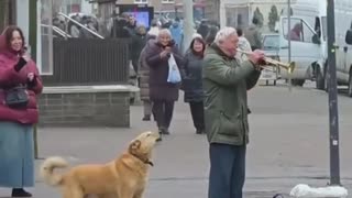 Unusual Duet: man and dog performing