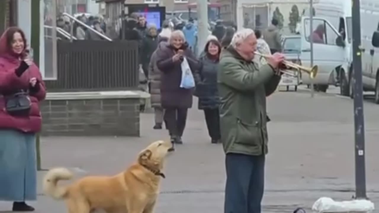Unusual Duet: man and dog performing