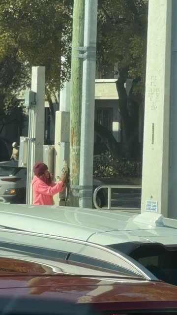 Woman Warms Iguana in Florida