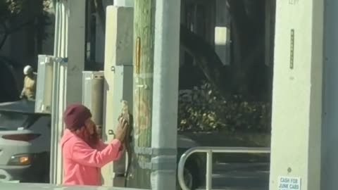 Woman Warms Iguana in Florida