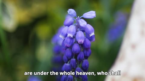 Deuteronomy Chapter 2
