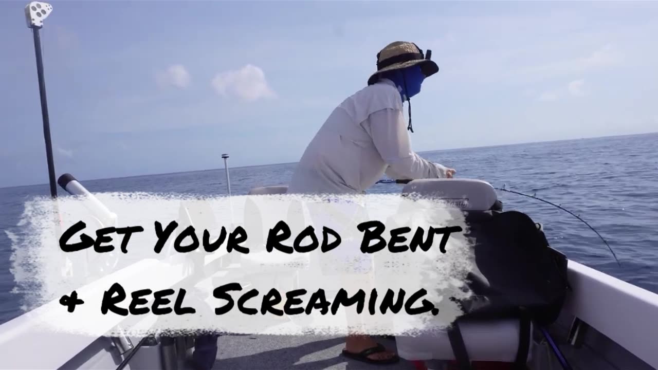 Shannons Fishing Tips