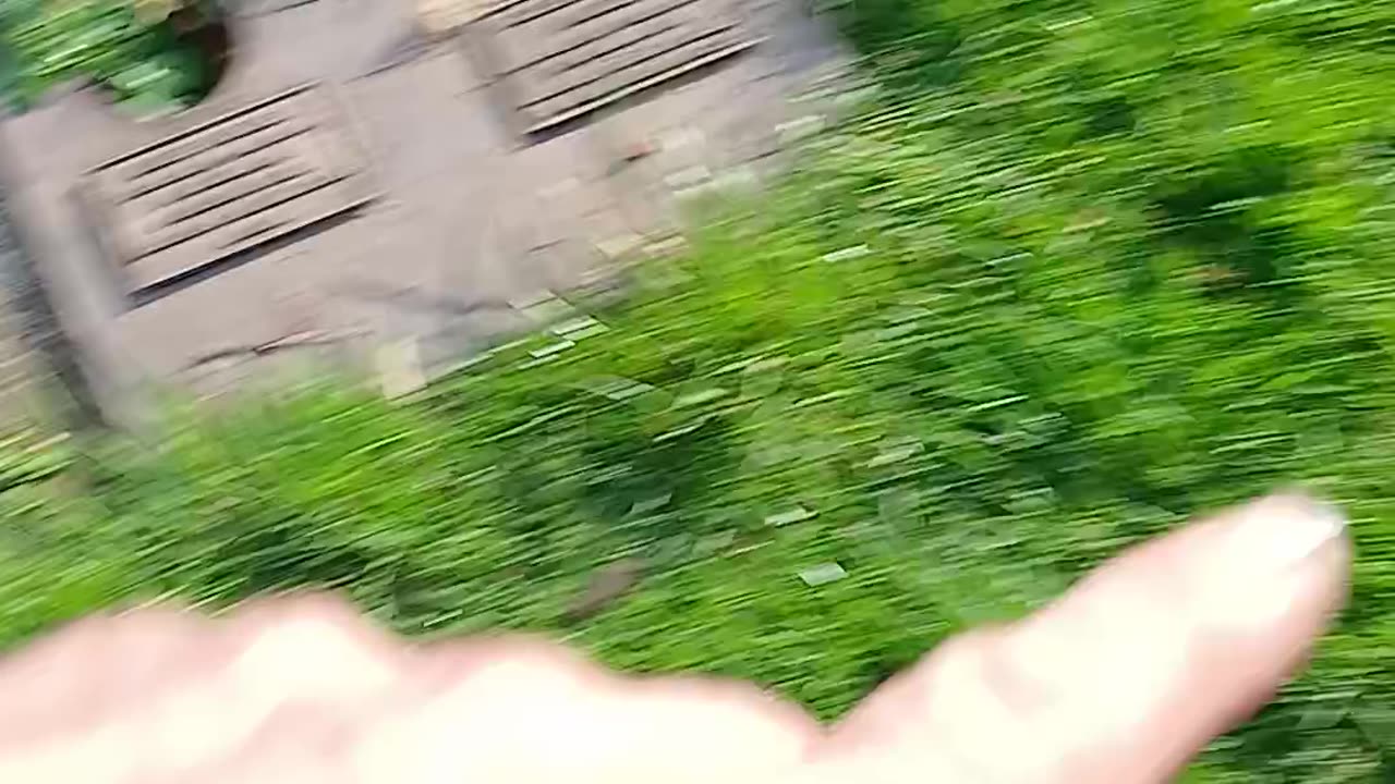 Entitled ones calling cops on their gang bang victims