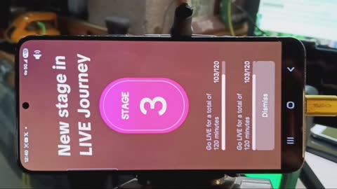 After trolling TikTok w the constitution, I did this.