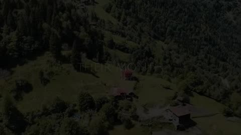 🙏🌿 Prayer for July 2025 | Blessings and Guidance for the Month | InGodWeTrustDaily