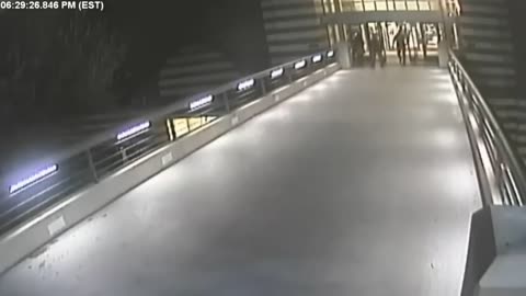 Fairfax County Police Shoot Black Thief