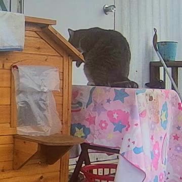 EA S149 - Bath Interrupted