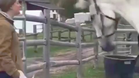 What happened watch the end 😀😀😀