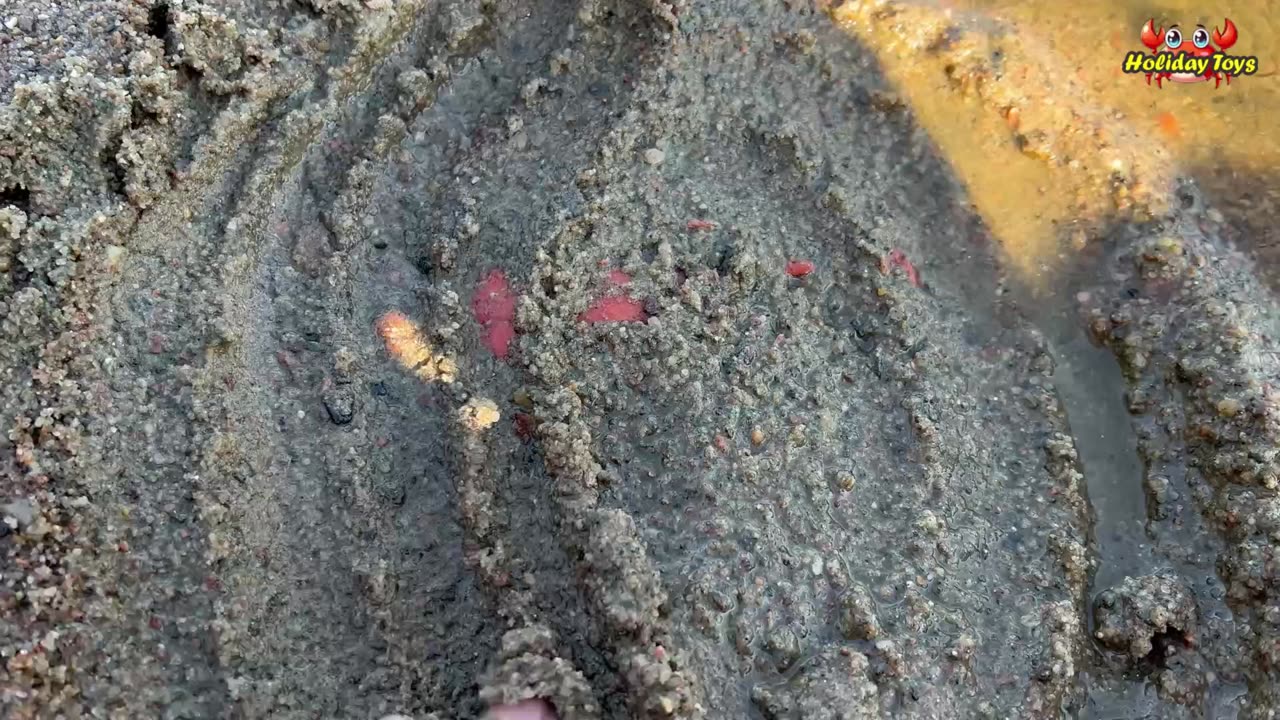 Penguins Covered in Mud and Bathing in Clear River