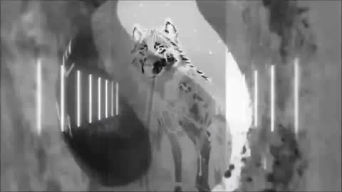 Love My Dump Up (DJ Cracker Jacks Mashup)