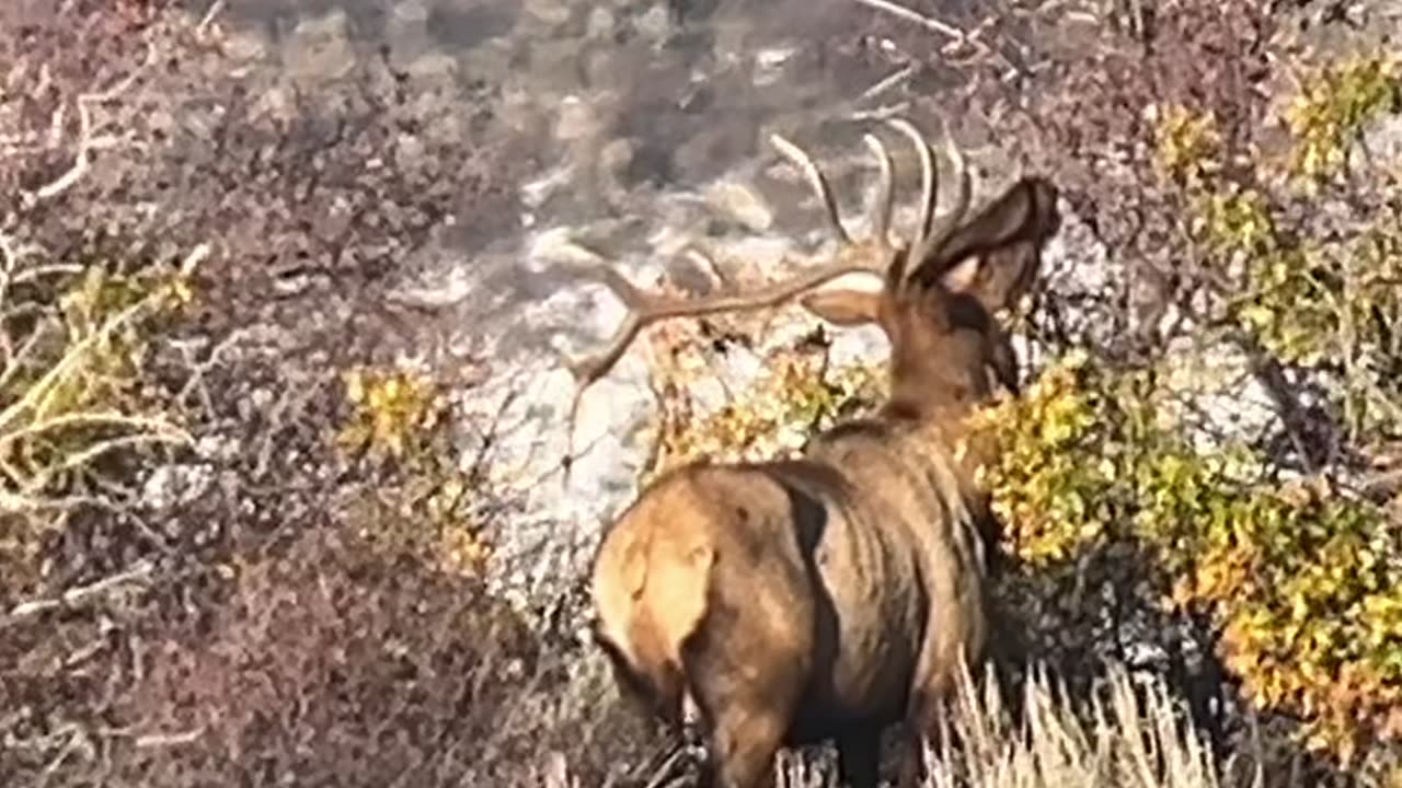 Rough rut in this guy