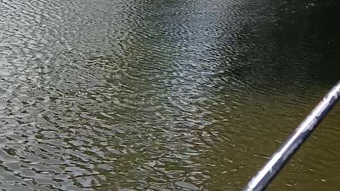 Gump and I fish a farm pond in Nebraska. Part 4