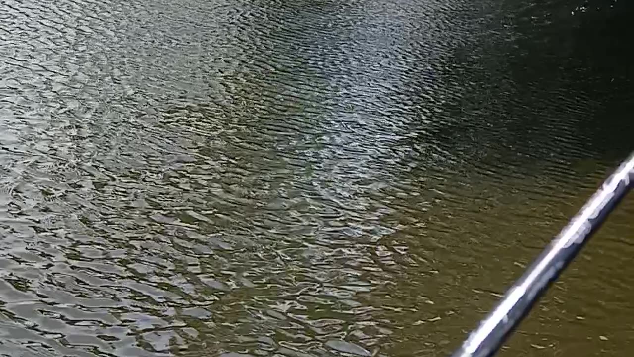 Gump and I fish a farm pond in Nebraska. Part 4
