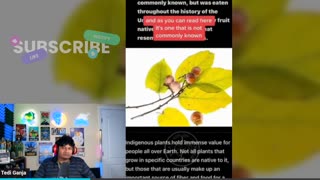 The Stream Lost It Watching These WTF TikToks | Livestream Reaction Cut (Pt. 50)