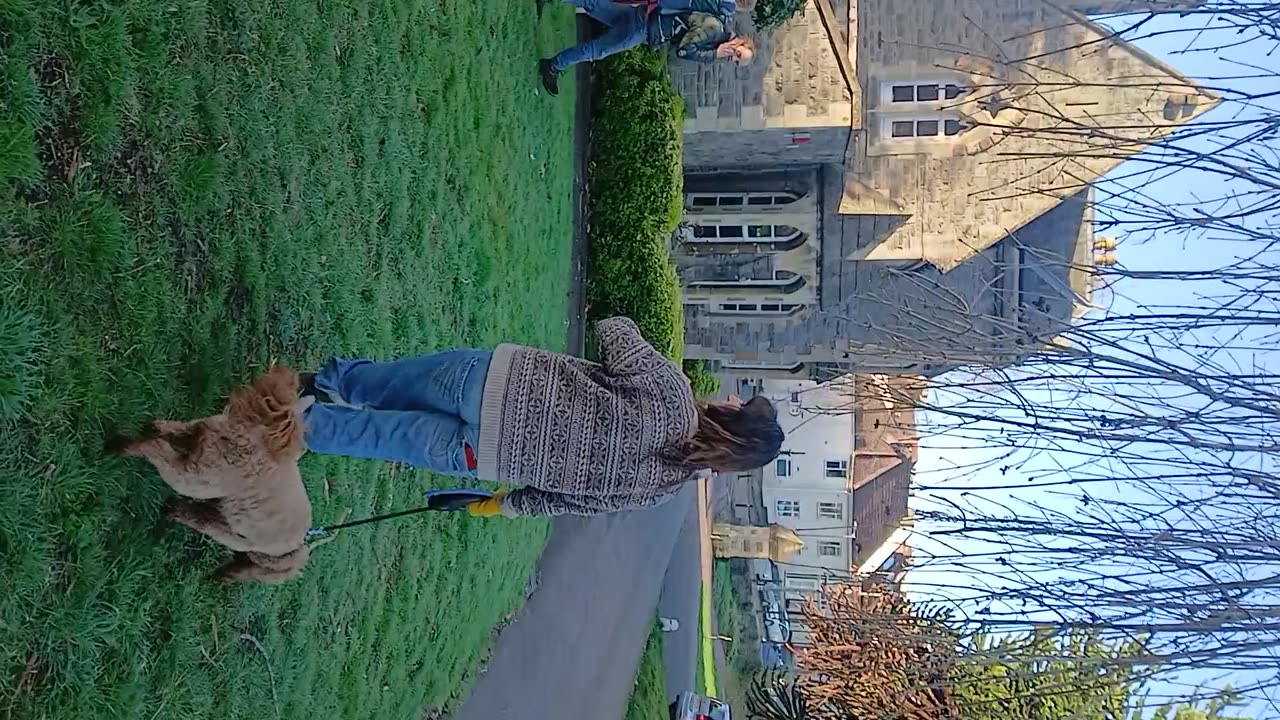 Tomorrow we eat an assistive dog alive