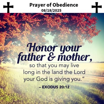 Prayer of Obedience #youtubeshorts #grace #jesus #mercy #faith #fyp #trust #bless #love #joy #peace