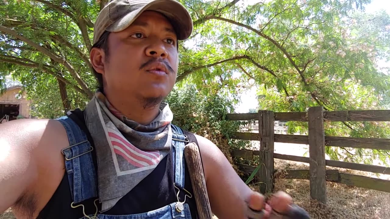 Fraud and Cancer Liar Sungrand Studios calls Pirate Software a Fraud and Liar