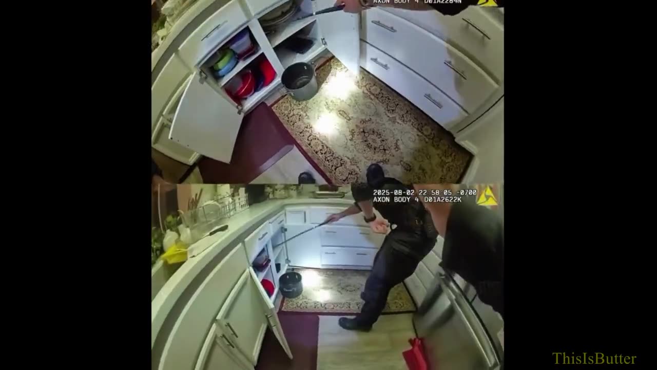 Walnut Creek police officers remove rattlesnake from kitchen