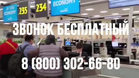 Чудовище Лох-Несса не может делать Умру… А ТЫ?! У него нет шансов добраться до Мекки.