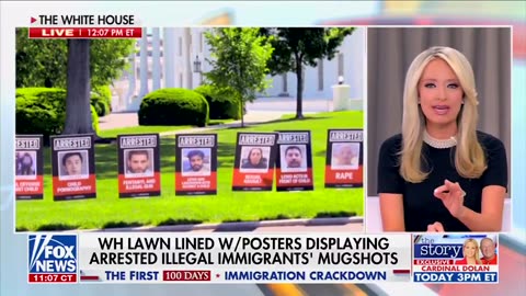 KAYLEIGH MCENANY: "I think this is very important, what the White House is doing here.