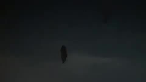 Creepy Humanoid Caught on Film!