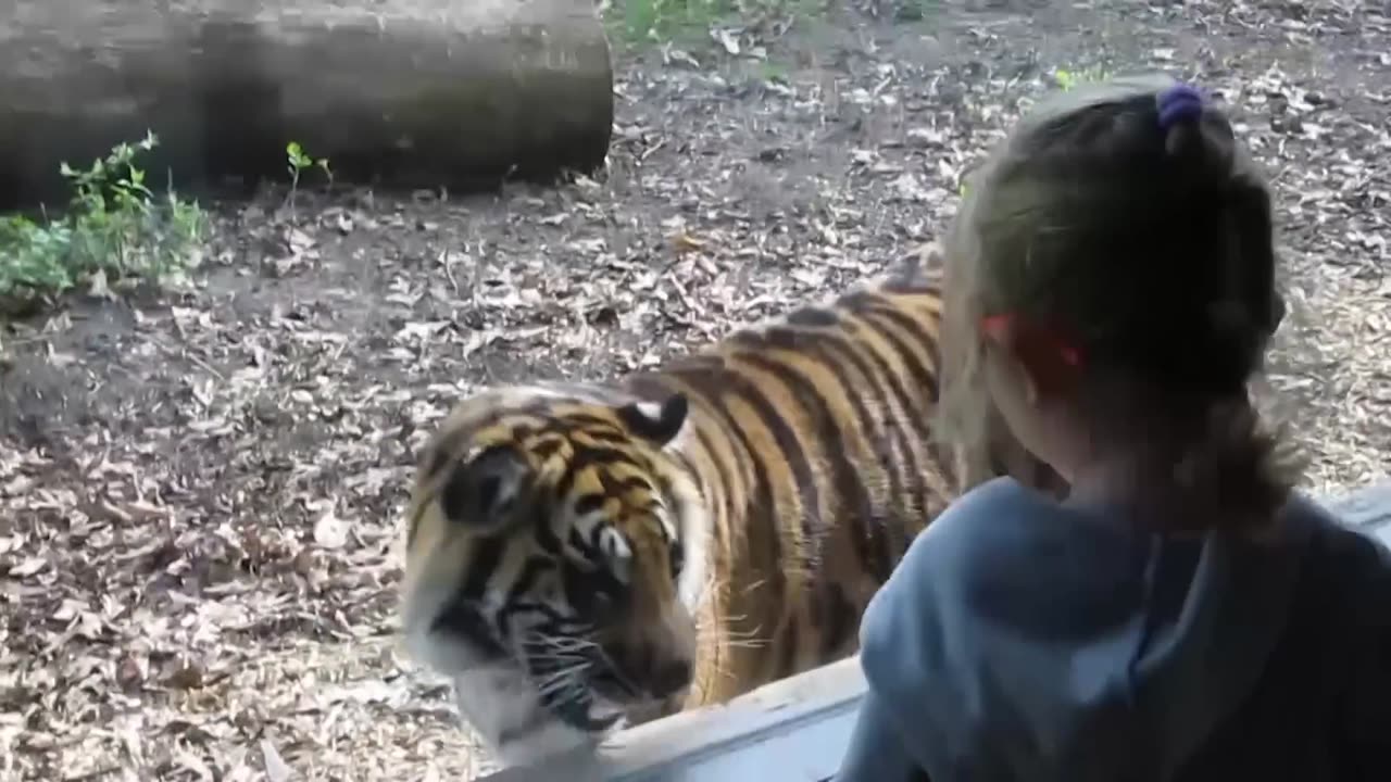 UNEXPECTED Animal ATTACKS! | AFVs Wildest Animal Moments