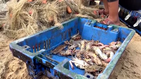 Gaza's fishermen struggle with ongoing restrictions, high prices
