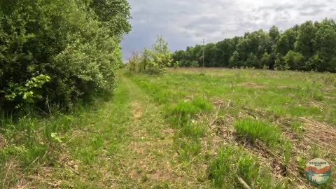 Taking a Walk on America’s Prairie, Wege Natural Area | Hike POV, ASMR