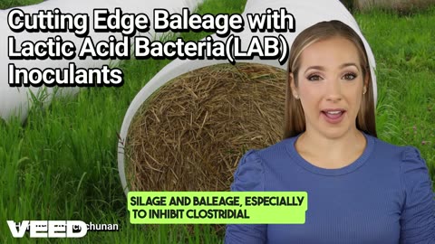 Ferment Smart: Cutting Edge Baleage with Lactic Acid Bacteria (LAB) Inoculants