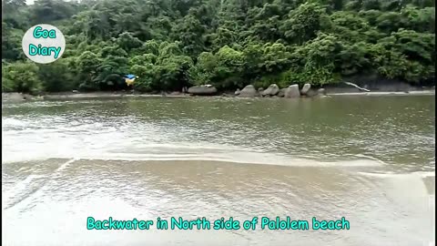 Backwater In the Northern side of Palolem Beach- Goa