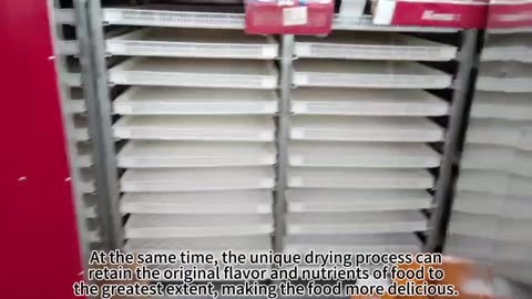 electric heating food drying oven