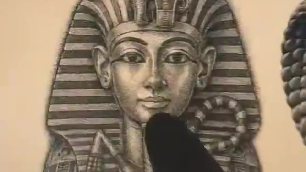 Why is Taylor Swift always surrounded by snakes?