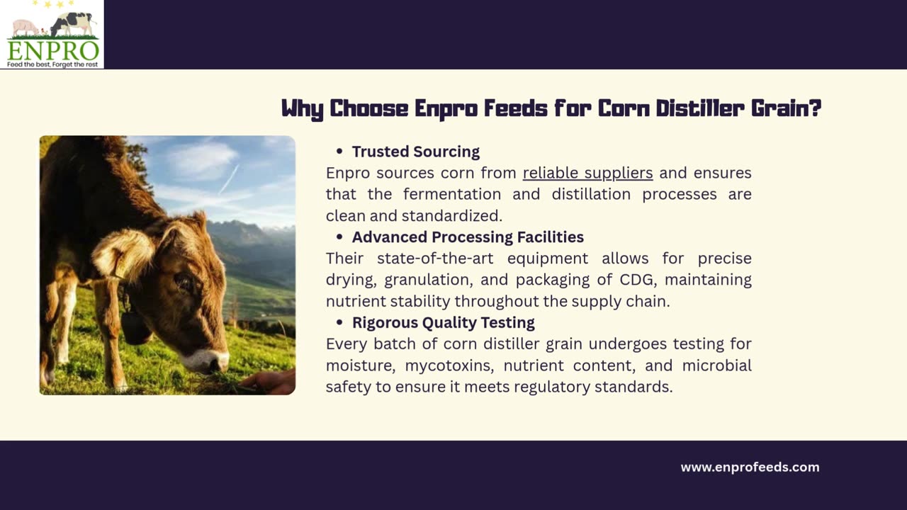 Corn Distiller Grain by Enpro Feeds