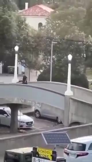 A civilian hero tackled one of the terrorists in Australia today