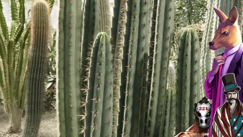 I'm NOT saying this woman shoves a cactus up her snatch