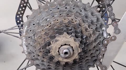 How do you clean the drivetrain on your bike?