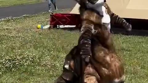 .