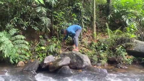 Cooking Firing Spicy Chilly Roti At Stream in Nature