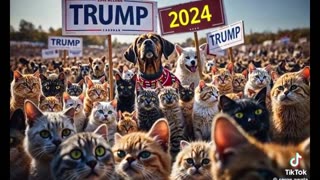 Daddy Goat 24/7 - Out Of Context Memes & Videos