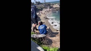 Daddy Goat 24/7 - Out Of Context Memes & Videos