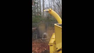 Daddy Goat 24/7 - Out Of Context Memes & Videos