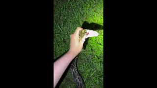 Daddy Goat 24/7 - Out Of Context Memes & Videos