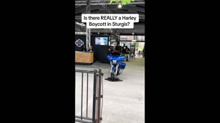 Daddy Goat 24/7 - Out Of Context Memes & Videos