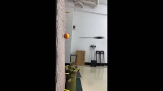 Daddy Goat 24/7 - Out Of Context Memes & Videos