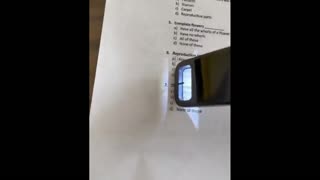 Daddy Goat 24/7 - Out Of Context Memes & Videos