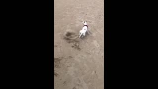 Daddy Goat 24/7 - Out Of Context Memes & Videos