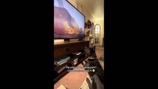 Daddy Goat 24/7 - Out Of Context Memes & Videos