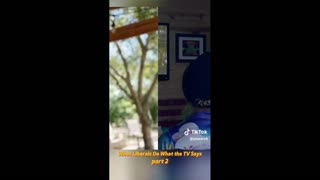 Daddy Goat 24/7 - Out Of Context Memes & Videos